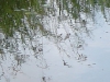 2006-08-15-007
