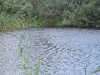 2006-08-15-017