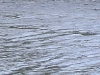 2006-08-15-018